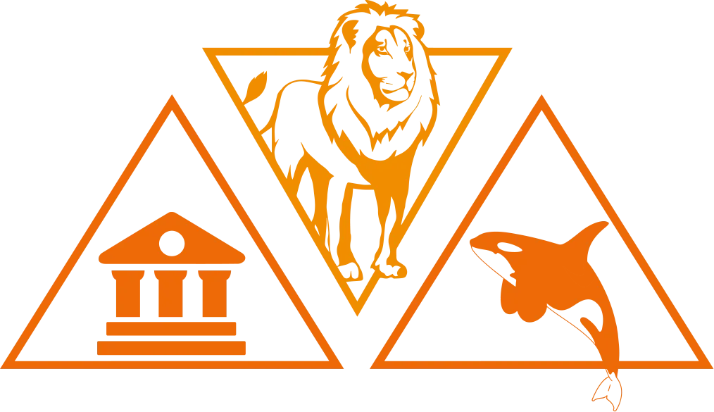 Абсолют-тур