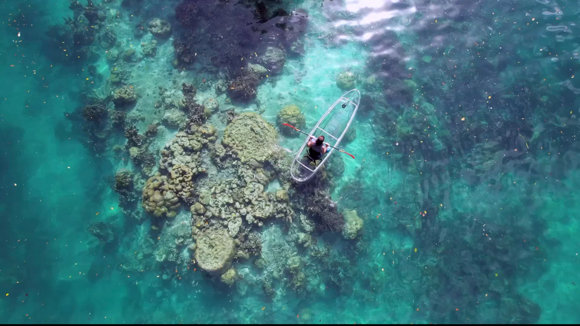 Solitude Gaia Palau 7