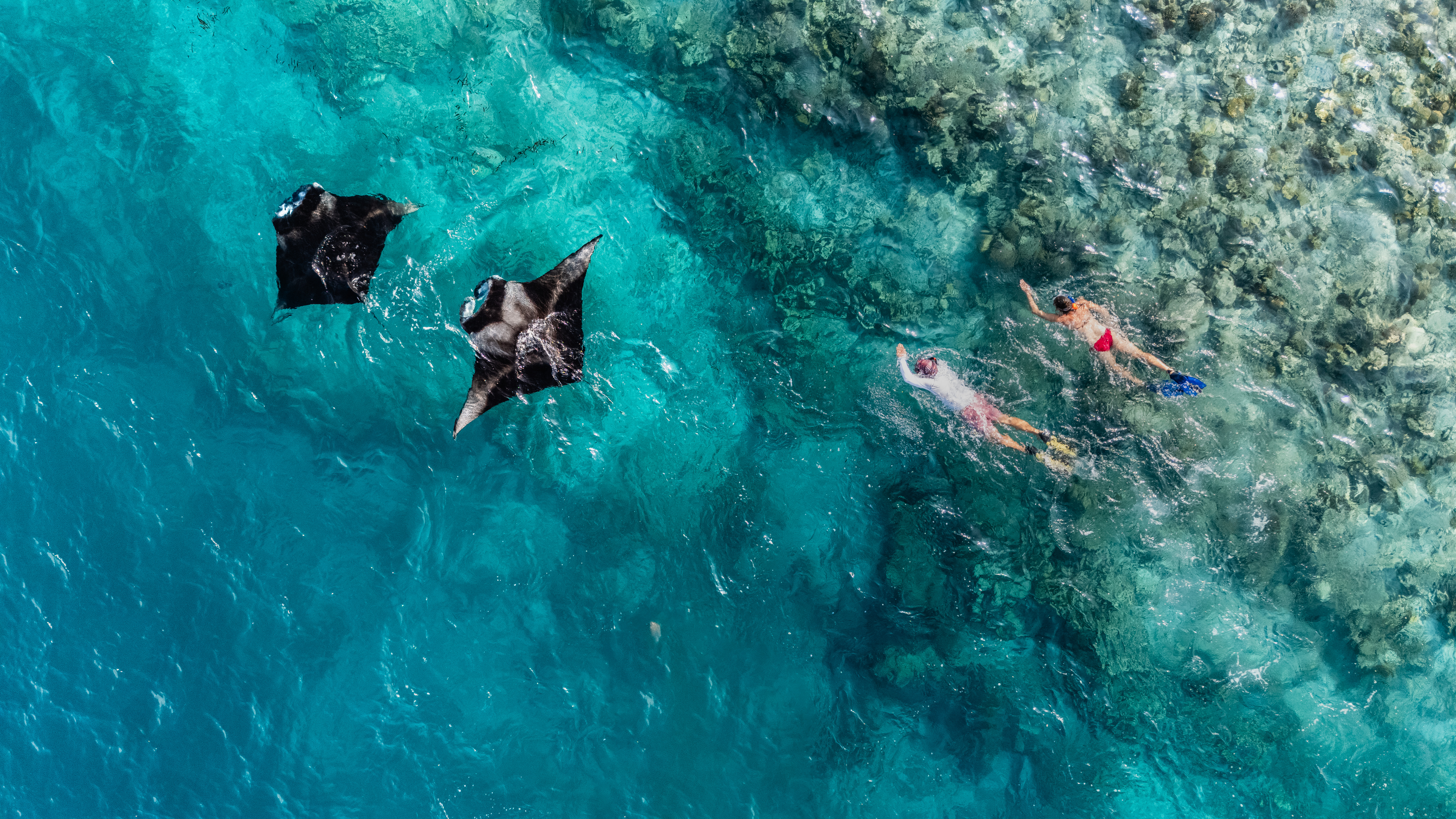Over Reef 3