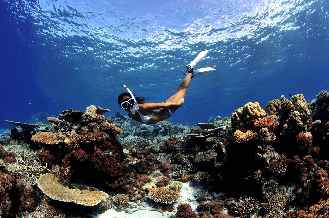 Solitude Gaia Maldives 7